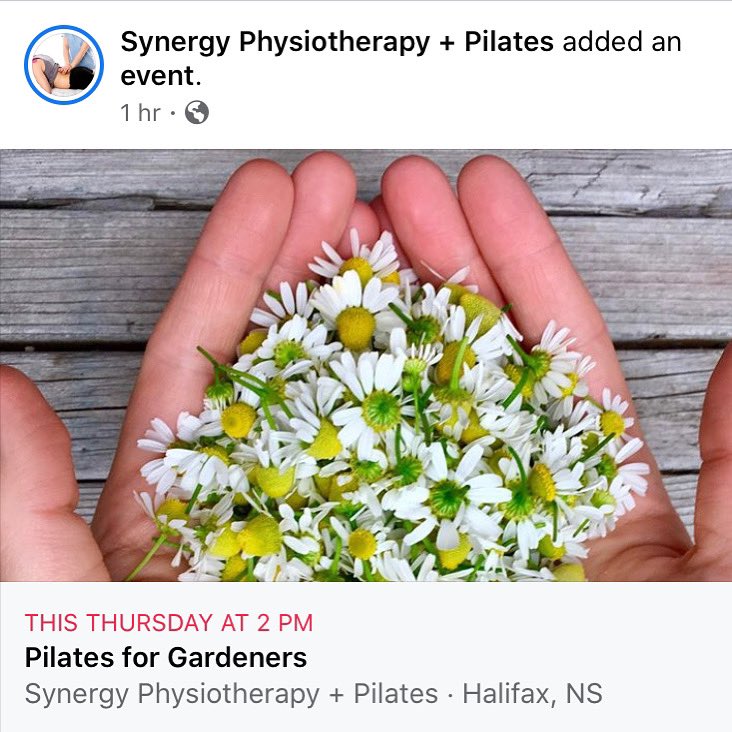 Join us on Thursday at 2pm for a free Facebook LIVE Pilates for Gardeners class! Thank you to @sunandwaterhort for the knee pad giveaway! If you miss it live it will be on our newsfeed for a few days. #outdoorexercise #synergystream