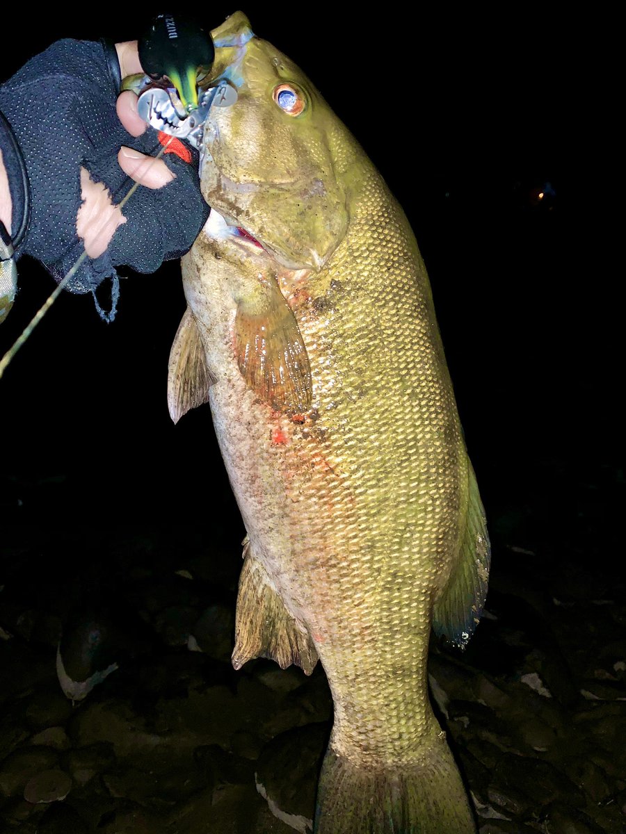 Zki 3時間ほど打ち込む 上メインでね スモール2匹 48 42 アーボガスト バズプラグjr ラグゼ アベンジプロップ80 上で食う個体は強い バズベイト スウィッシャーは楽しい ルアーの力だけで釣らせて頂いたw