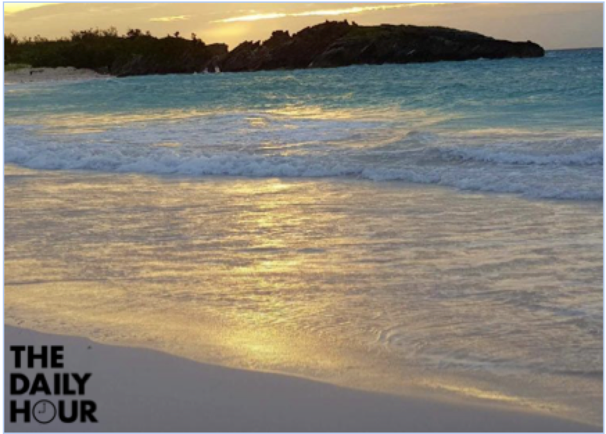 TheDailyHour's tweet photo. It doesn't matter if it's sunrise or sunset, the beauty of the sunlight hitting the ocean brings a certain level of calm.
#Bermuda #nature #bermudaful #bermudalife #bermudabeach #bermudadreaming #islandlife #ocean #beachlife #beaches https://t.co/j0G7XZxgPi
