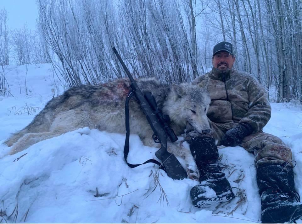 XposeTrophyHunt's tweet photo. Byron Wolf owns Wolf Huntin Adventures. He has declared war on the wolf population. He obviously doesn't care that wolves are necessary predators that balance the ecosystem. Another thrill killer with a lust for $$, &amp; a gruesome Facebook page.😒
#BanTrophyHunting 🙏🏼RT
@zbleumoon https://t.co/eleHshvTCM