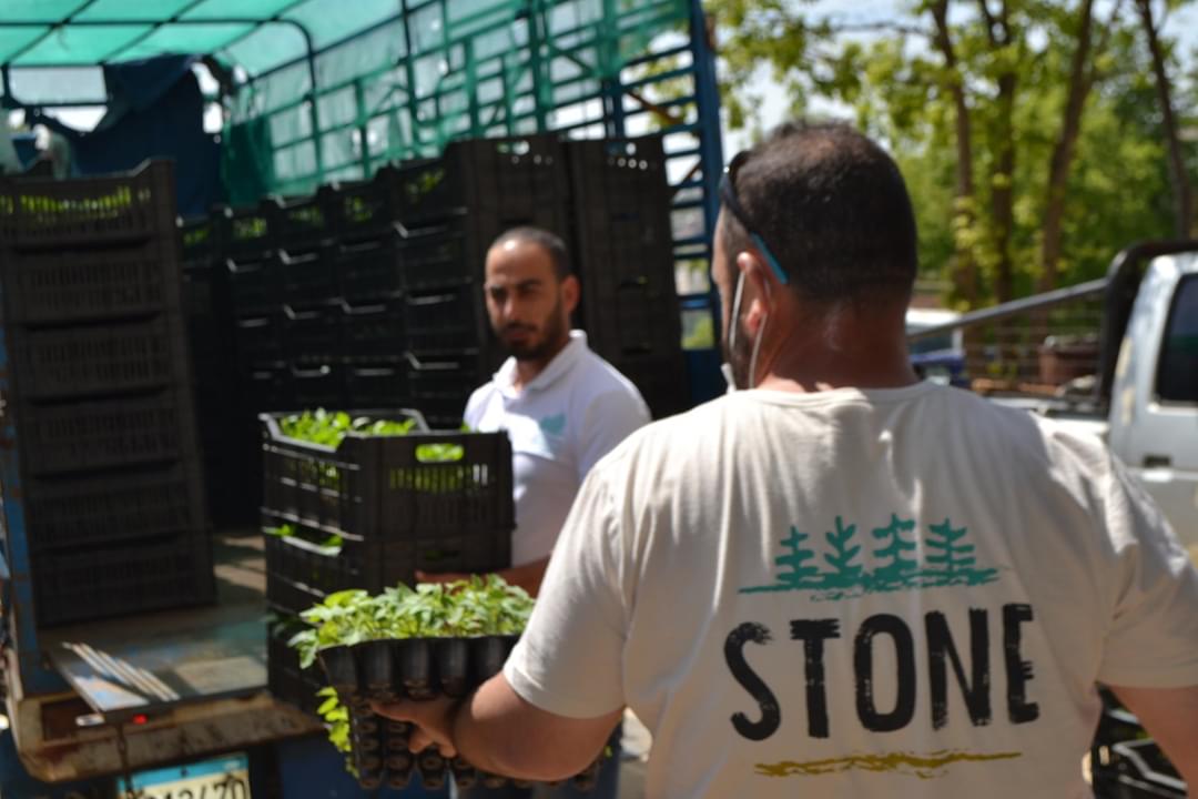 CedarReserve's tweet photo. تشجيعاً #للزراعة_المستدامة #الصديقة_للبيئة في المحيط الحيوي بالتعاون مع #البلديات، #التعاونيات_الزراعية, قامت المحمية بتوزيع 48500 شتلة من #زعتر #بندورة #باذنجان #فليفلة #خزامى على عدد من المزارعين في ١٥ قرية؛ ضمن مشروع STONE الممول من @coopita_beirut بالتعاون مع @IstitutoOikos https://t.co/kQ8nM59Qtp