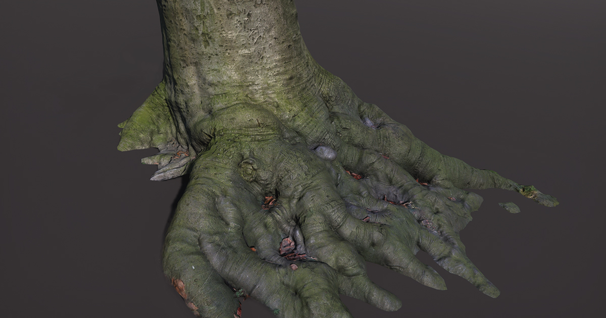 EmberGlitch's tweet photo. Our scanned trees and trunks are ready to be planted in your environments, be sure to water them.

Published on the Unity Asset Store:
https://t.co/IsOP5OaVbz

#unity3d #madewithunity #photogrammetry #gamedev #gameart #UnityAssetStore https://t.co/J3e3w0XHF1