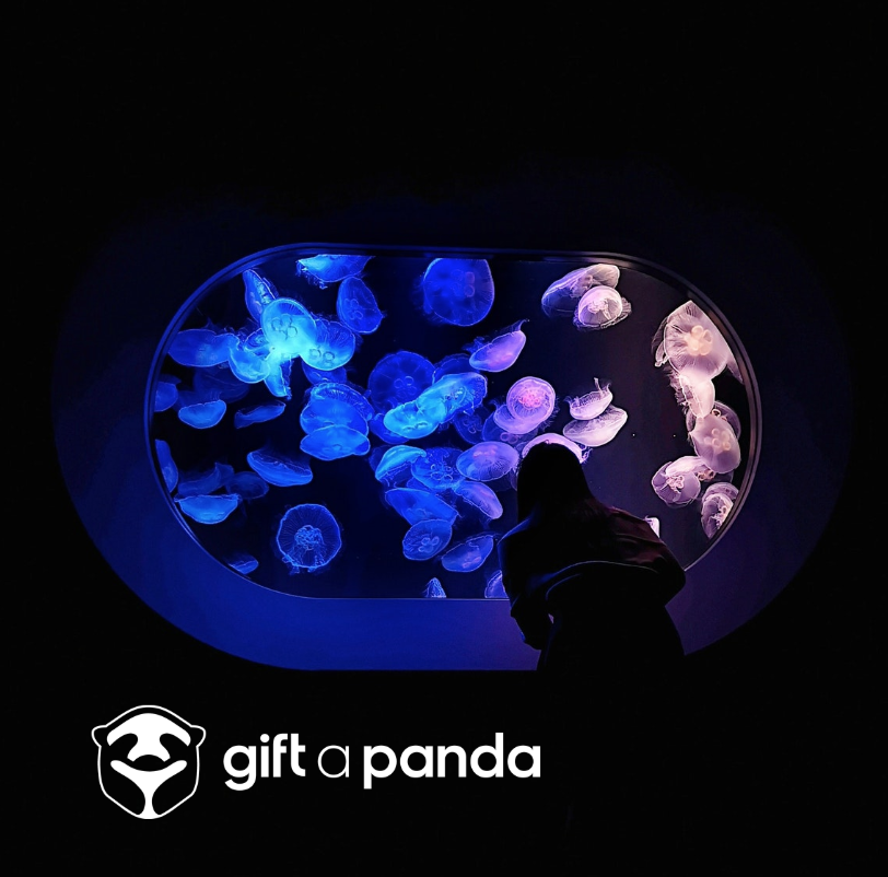 GiftAPandaHQ's tweet photo. Gift Experiences for Men (That They’ll LOVE) 
New ideas! Do They deserve the best? ;)

Photo by Dwayne Sanson Tin on Unsplash

https://t.co/CWf0RhI5Mj

#gifts #giftideas #giftsforher #giftsforhim #giftideasforhim #giftideasforher #giftexperiences #bestfriendgift #bestgiftforhim https://t.co/rkGuOKDt0Z