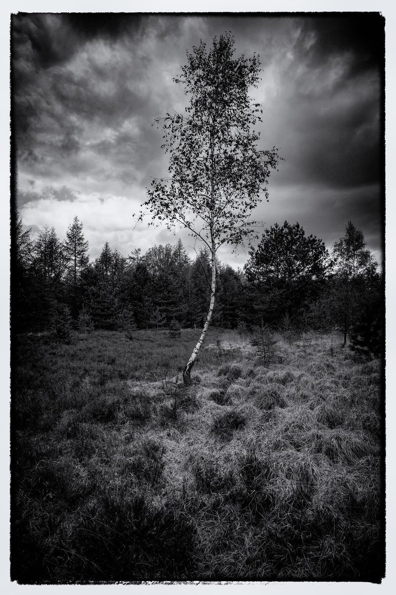 bertbielderman's tweet image. Alone. Sony A7r mark 2 #PhotosOfMyLife #photooftheday #photo #blackandwhitephotography