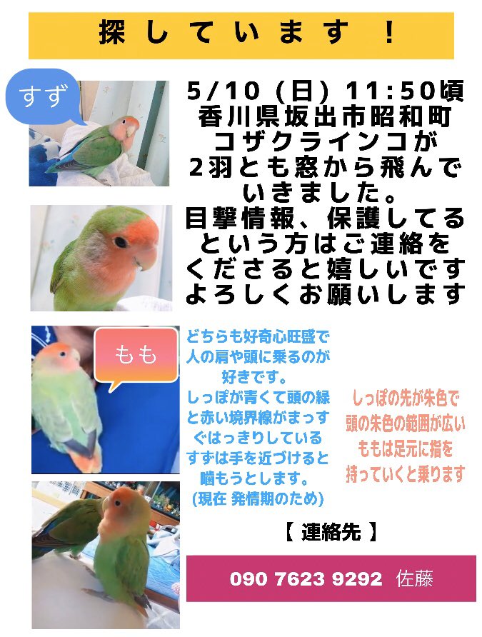 ｺｻﾞｸﾗｲﾝｺ探してます Tnonp07 Twitter