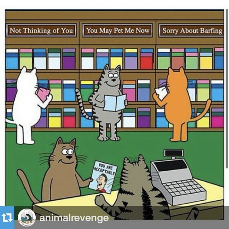 BatConservancy's tweet photo. In this weekโs Monday morning #wingflapper we see where my cat bought the card I received yesterday. ๐ป https://t.co/xqj6rWZUPy