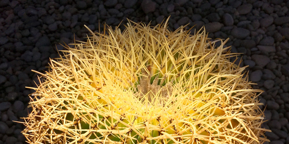 OpenUpMags's tweet image. Slow down, appreciate, photograph and reconnect with the natural world, say Katherine Watson of @FatGrassDesign and #themindfulphotographer Heather Greenbank ow.ly/sK7Z30qDmZj