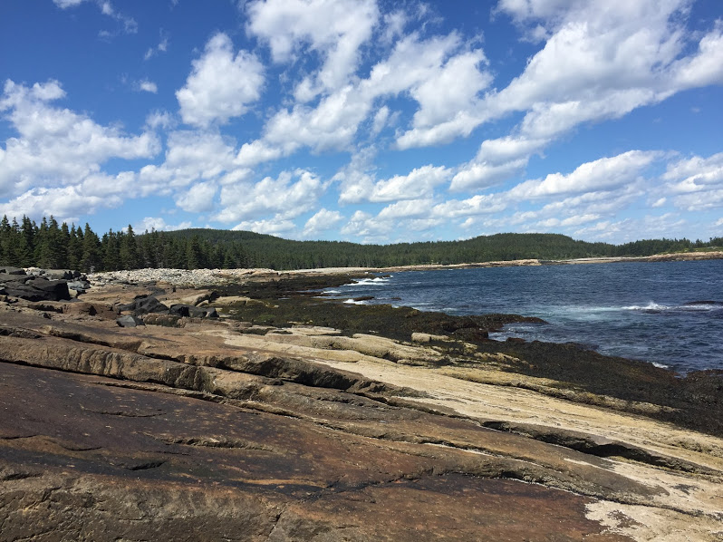 miloinmaine's tweet photo. We're really missing the Schoodic Peninsula on this bright Monday. #SchoodicPoint #Maine #stayhome https://t.co/DB2bcYAvTB