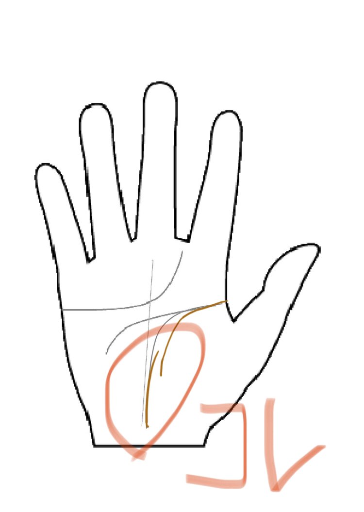 تويتر 手相の豆知識 البحث في تويتر