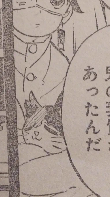 いややっぱ本職の猫には流石の実弥氏も勝てんわ～～～～～なンこの顔ッッッッッ?!?!????!めっっっっっっっ!!!!!!!!!!!(ヌコ童貞特有のクソキモオタフクスマイル 