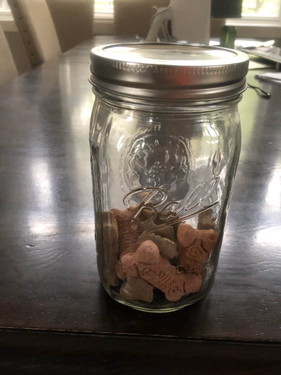 Bad_Brown_Dog's tweet photo. Lesson #1 from pandemic; if I bark and act nasty towards people/dogs in front of the house, I get a yummy treat from the jar of happy. #pavlovwasanidiot https://t.co/FIzxO1HC5n