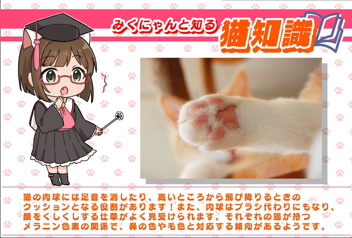 よせぐと tweet media