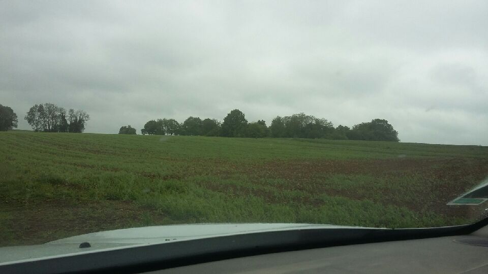 JeunesAgri57's tweet photo. Les agriculteurs de #Moselle souffraient du manque d'eau. Le retour de la #pluie était attendu avec impatience pour assurer la bonne levée des cultures de printemps. 👍🙂
#deconfinementjour1 https://t.co/tb6JWfMGYk