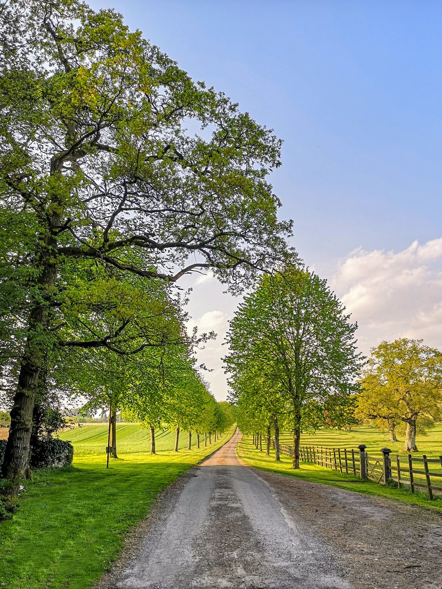 FullerSearch's tweet photo. A couple of the impressive driveways I passed on my cycle over the weekend, lots of green open space! 

#countrylife #countryliving #openspaces #greenspaces #drivewaygoals #thecotswolds #farmhouse #manorhouse #buyingagency #homefinders #barnfinder #homeinthecountryside https://t.co/7vk4EHozM0