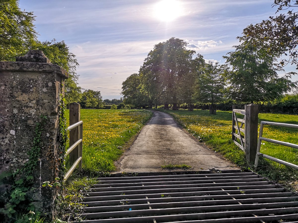 FullerSearch's tweet photo. A couple of the impressive driveways I passed on my cycle over the weekend, lots of green open space! 

#countrylife #countryliving #openspaces #greenspaces #drivewaygoals #thecotswolds #farmhouse #manorhouse #buyingagency #homefinders #barnfinder #homeinthecountryside https://t.co/7vk4EHozM0