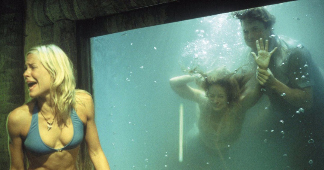 brokenlizard's tweet image. It's never a party until someone breaks the jacuzzi. #brokenlizardquotes #clubdread
amzn.to/358bFnE

@ErikStolhanske @jaychandrasekha @SteveLemme @PaulSoter @HeffernanRules