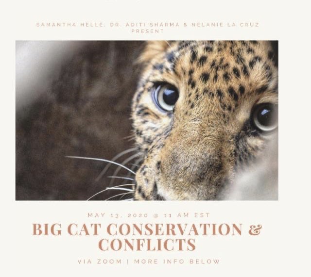 samanthaiam's tweet photo. This #WinnsDay ! We’re talkin tigers in Nepal, leopards in India, and Jaguars in Guyana! @women4wildlife #wildlifeconservation https://t.co/4l5ADVOtwn