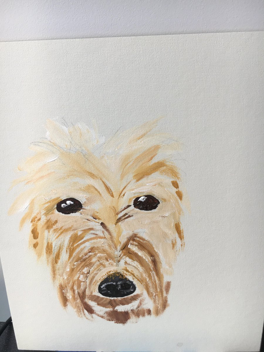 magsbutler's tweet photo. #AnCosánathon
So, Bill Roche challenged me and I thought a portrait of my dog Dougal was the thing.   But it was beyond my skills, so inveigled Aengus to provide.     Adding real pic for info.   Next challenge to @tomtomkelly and @acolblah.   Great cause. https://t.co/0AkEXKnI1S
