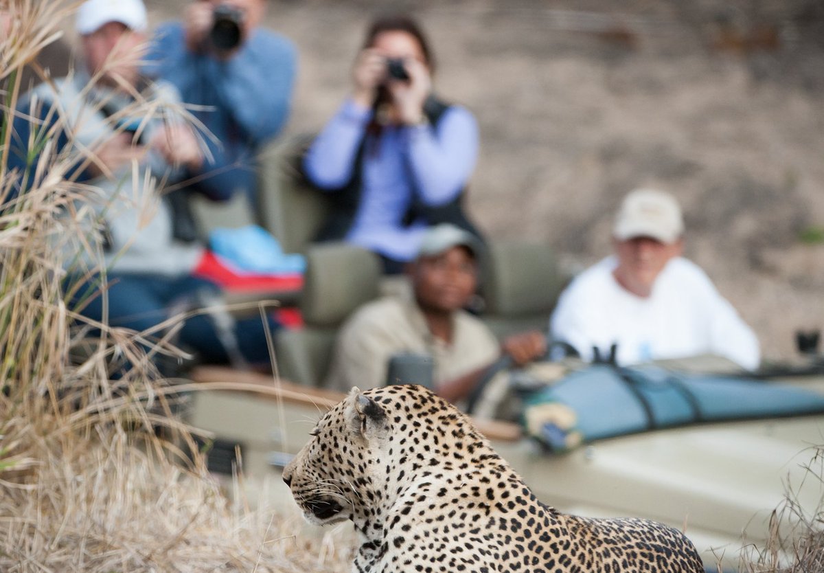 🙌 #MondayMotivation: Travel &amp; Tourism not only drives job creation but it supports sustainable economic growth, plays a role in reducing poverty, provides people with relevant skills for the future &amp; supports the structures that create peaceful societies. 🌎 🌍 🌏
