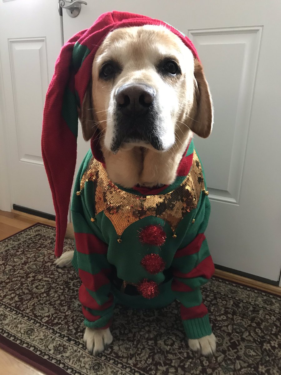 jagdago's tweet photo. Almond dressing for his favorite holiday during Spirit Week!!! @WBMSHS, @OakleyWb, @MikolazykWBPS,@kimbergarten https://t.co/Wn5Cm4TdrH