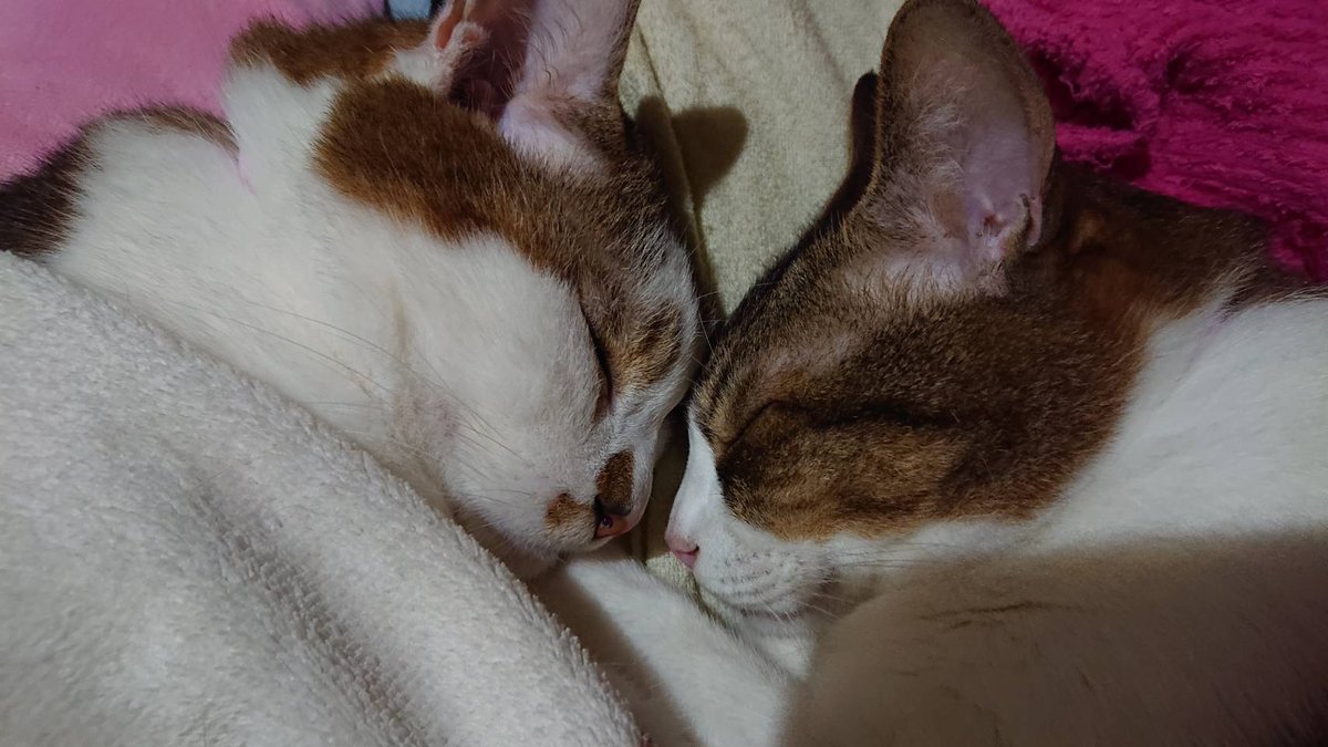 眠り