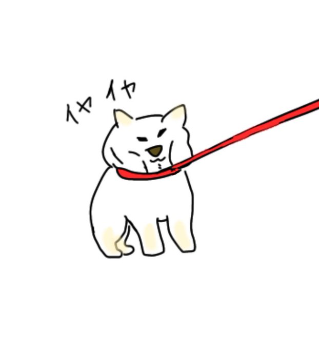 柴犬あるあるのtwitterイラスト検索結果 柴犬あるあるのtwitterイラスト検索結果