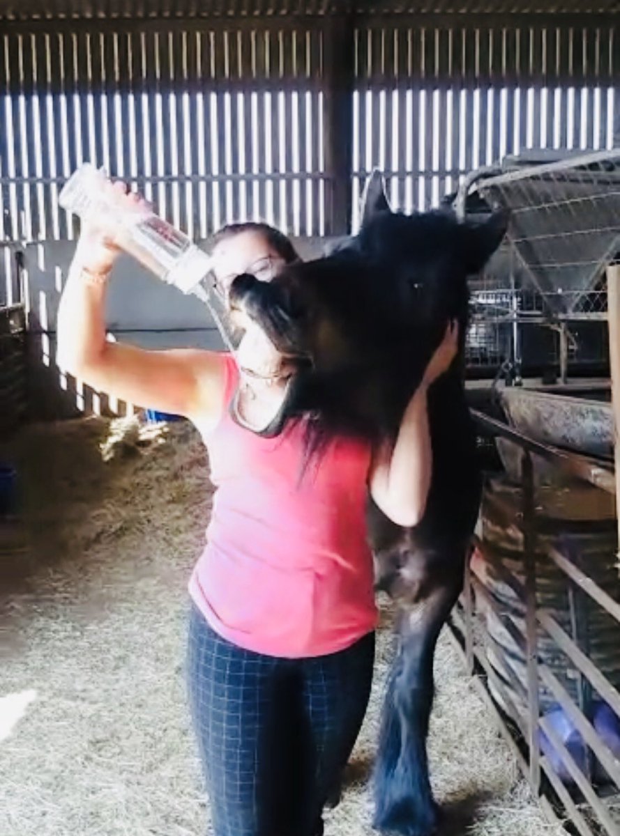 Who said <a href="/Ellacotts/">Ellacotts</a> water bottles are just for humans? 🤷🏻‍♀️ #stayinghome #happyhorse #smileforthecamera