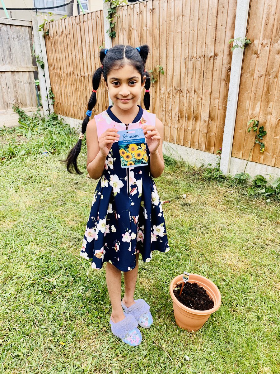 sujithkirijah's tweet photo. @longmoorcps our sunflower challenge selfie’s 🌻🌻.happy 🌱 planting.😊 https://t.co/hpDhqUUBnv