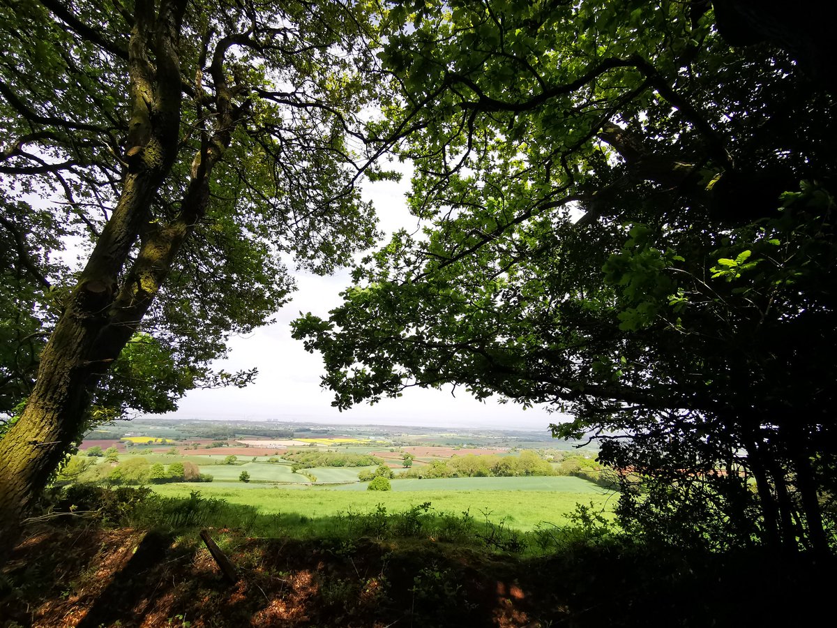 SunflowerSocMed's tweet photo. Happy #SomersetDay 💚
Amazing hills, views, beaches,  fossils, food, drink and people.

Very grateful to live here. 

https://t.co/BQmq4dActE https://t.co/atX6G0aaP3