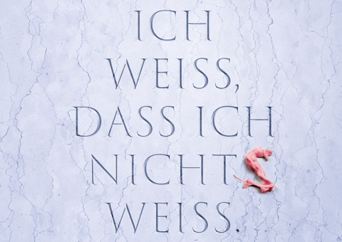 FuerWebb's tweet photo. Wieso ist der Anfaengergeist so erstrebenswert? https://t.co/CeGLWd4Chi
#anfaengergeist #energiearbeit #feelyourbutterflies https://t.co/HQsHnFfoKO