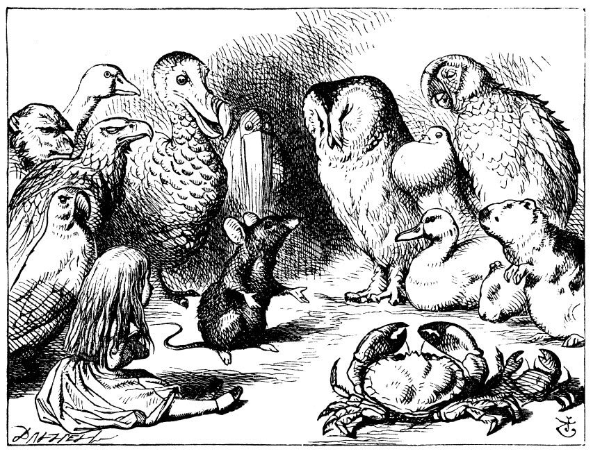 Elizab3thAddis's tweet photo. @Naturalbodies20 @MermaidsDrown @Naturalbodies20 @MermaidsDrown Tenniel’s illustrations of Wonderland further aims to affect the reader’s view of Carroll’s use of animals and even challenges the idea of humans as superior. For example, in this image the mouse tells the story to Alice and the other animals. https://t.co/WNxcfVDtHx