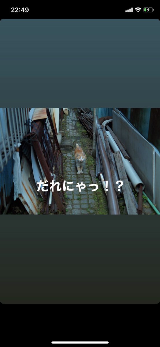 11221122Kento's tweet photo. 気が滅入ってきたので少しさんぽ。
門番に東京案内してもらいました。 https://t.co/C7Oe1A1lNs