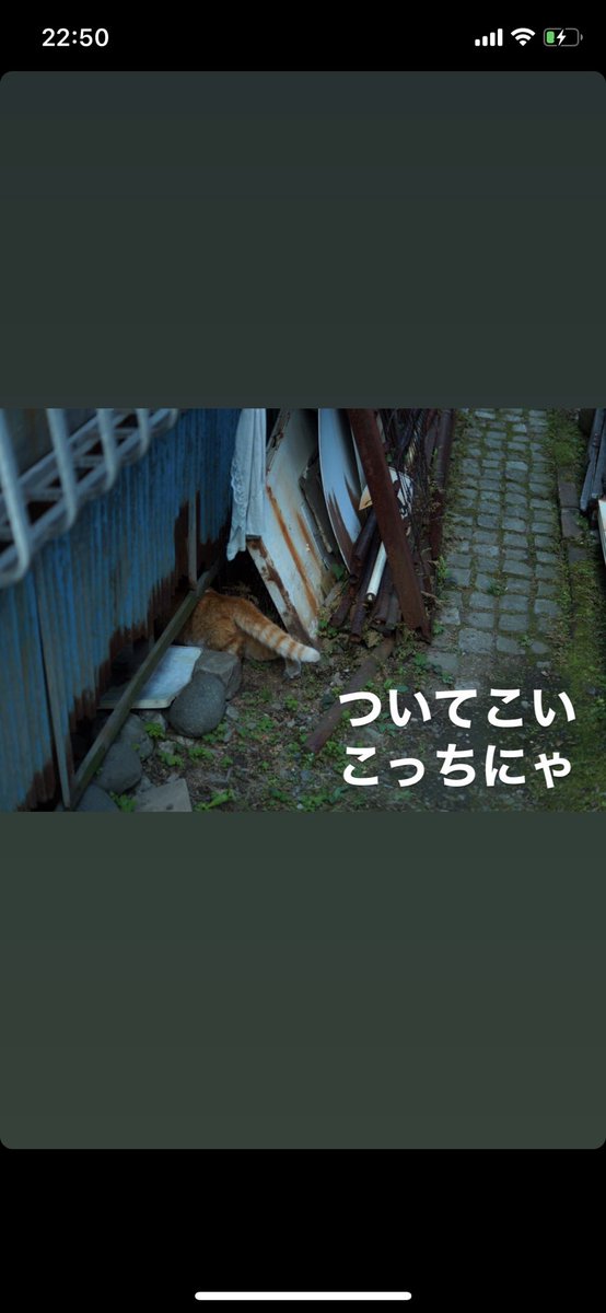 11221122Kento's tweet photo. 気が滅入ってきたので少しさんぽ。
門番に東京案内してもらいました。 https://t.co/C7Oe1A1lNs