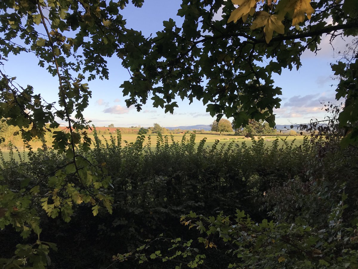 Happy Somerset Day!! ☀️#SomersetDay ⁦@BBCCountryfile⁩ ⁦<a href="/CountyGazette/">Somerset County Gazette</a>⁩ ⁦<a href="/Giles_Adams/">What's On Somerset</a>⁩