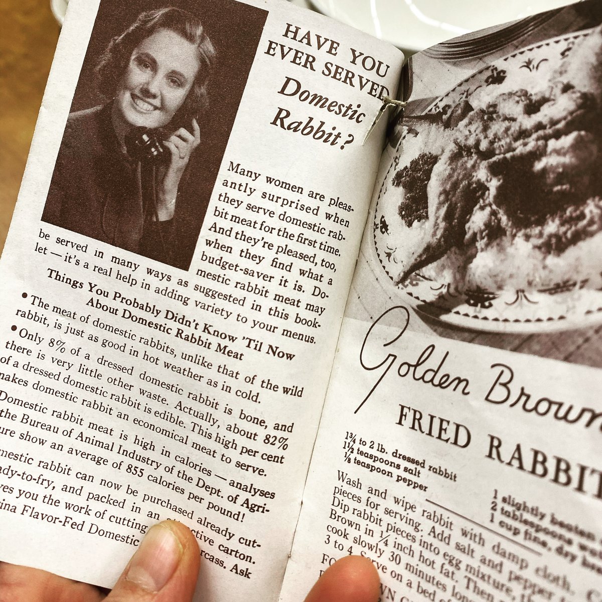 I peeped out the Fallout Shelter this morning and saw a rabbit. My first thought? "You're cute". My second thought? "I'm hungry" They're just athletic chickens, but no rabbit will be eaten today, just a lesson in whole chicken butchering. 

LIVE at 3:00 on YouTube.com/funnypeoplemak…