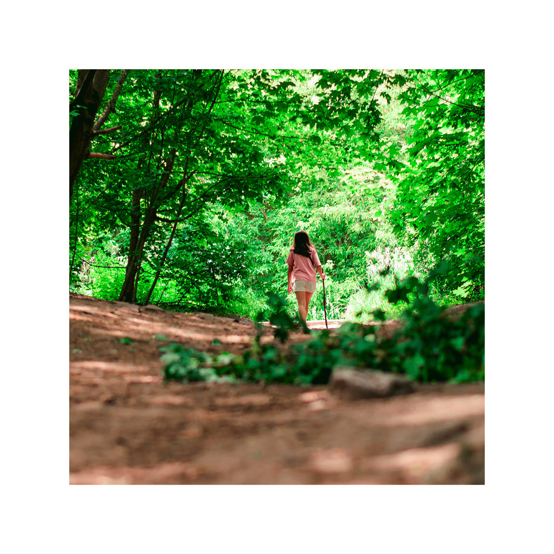 MetroviewD's tweet photo. Although park amenities are currently closed, trails are open for walkthrough access. Get some exercise and fresh air and stroll through one of these beautiful trails:
- Oak Ridges Trail
- Saigeon Trail
- South Richvale Greenway Walk
- Beaufort Trail
- Elgin Mills Greenway https://t.co/aaf3nWOsCI
