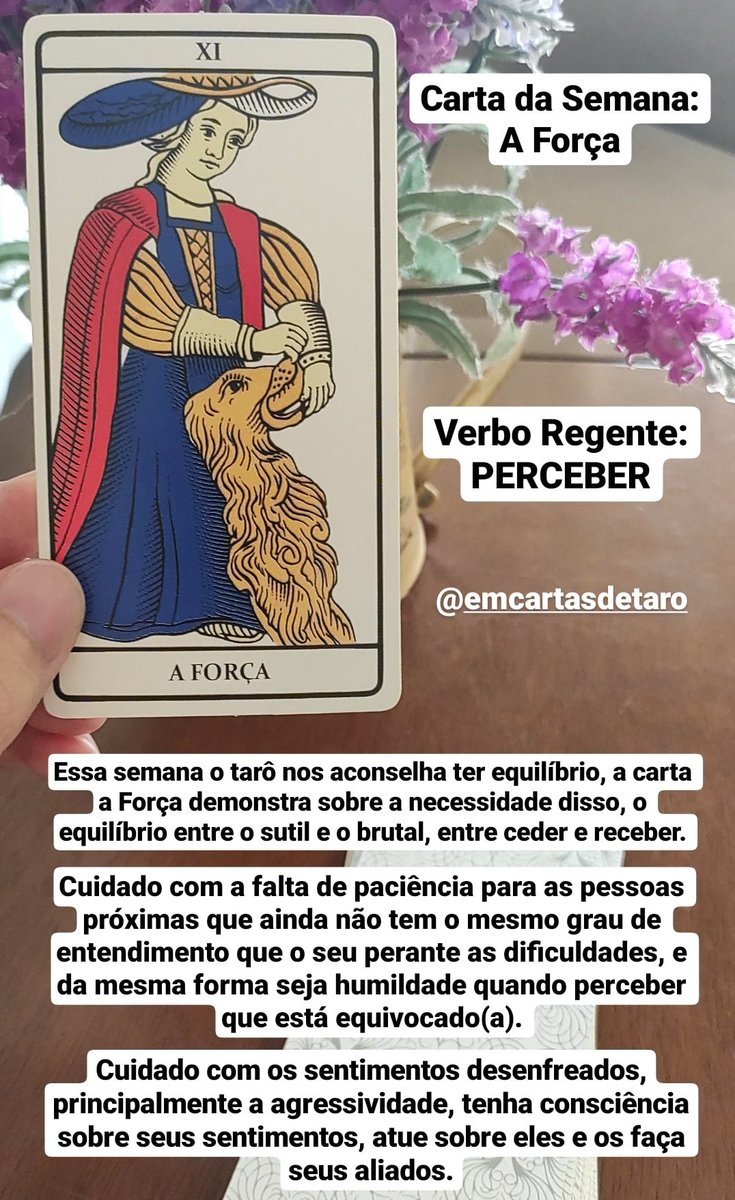 integrareser's tweet photo. Carta da Semana: A Força
Conselho: essa semana o tarô nos aconselha ter equilíbrio, a carta a Força demonstra sobre a necessidade disso, o equilíbrio entre o sutil e o brutal, entre ceder e receber.
Conselho completo 👇👇👇
#bomdia #tarot #conselho #semana #segundou #perceber https://t.co/QPVbAwHLkZ