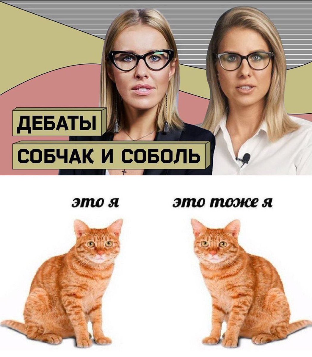 l1zzka's tweet photo. мне понадобилось 10 секунд чтобы понять где собчак, а где соболь.... https://t.co/4TXic7XIVo