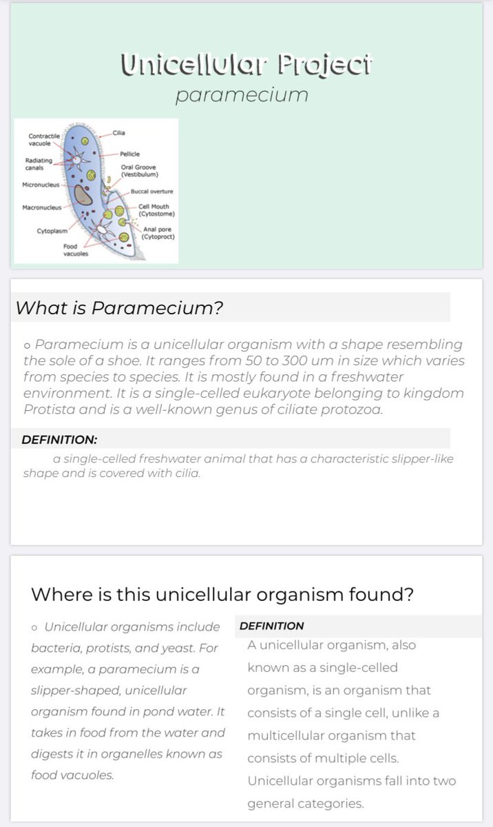 LaraS_EDU's tweet image. Grade 8’s have been working on unicellular organism projects. Ss investigated how unicellular organisms operate in our world. They researched key factors such as movement, nutrition &amp;amp; human impacts. Excited to review and edit work with Ss later on this week!