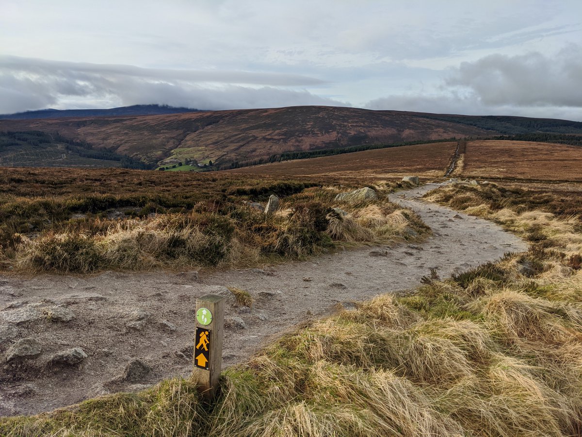 ATRA 🏃‍♂️ 🇺🇲 🏃 tweet media