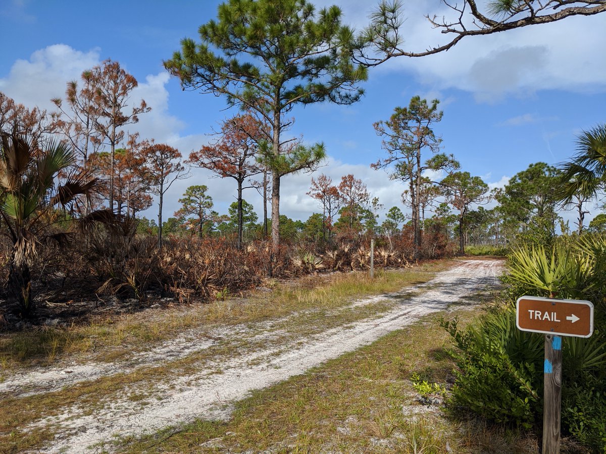 ATRA 🏃‍♂️ 🇺🇲 🏃 tweet media