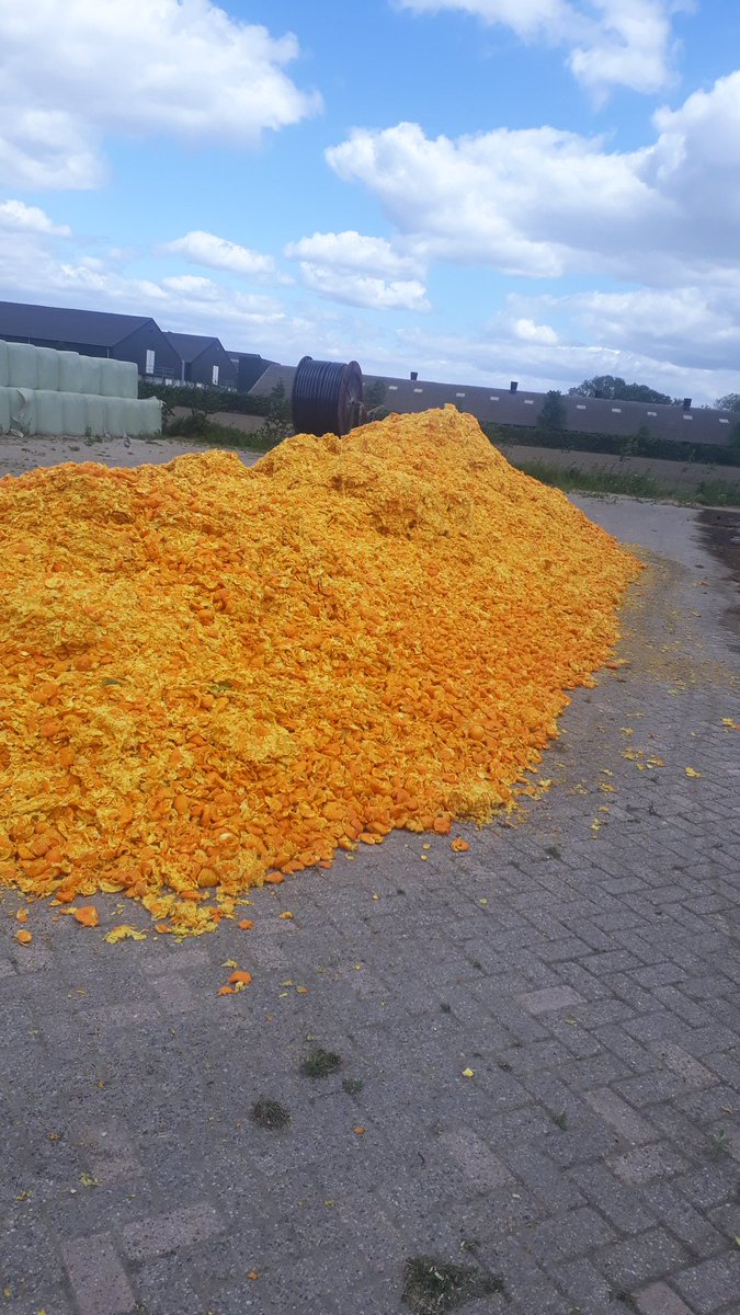 gertjanfrijters's tweet photo. Niet omdat de politiek het zo graag wil,niet omdat we zo nodig een #kringloopboer willen zijn. Maar wel omdat het goed in randsoen voor de 🐐 past en randsoen smakelijker😋😋en goedkoper word💰Daarom voeren we dus 🍊schillen # kan iedereen weer verse jus d'orange drinken!😁 https://t.co/PVAUg8nd07
