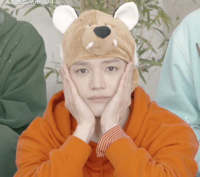 ㅌㅇ 🥊 tweet media