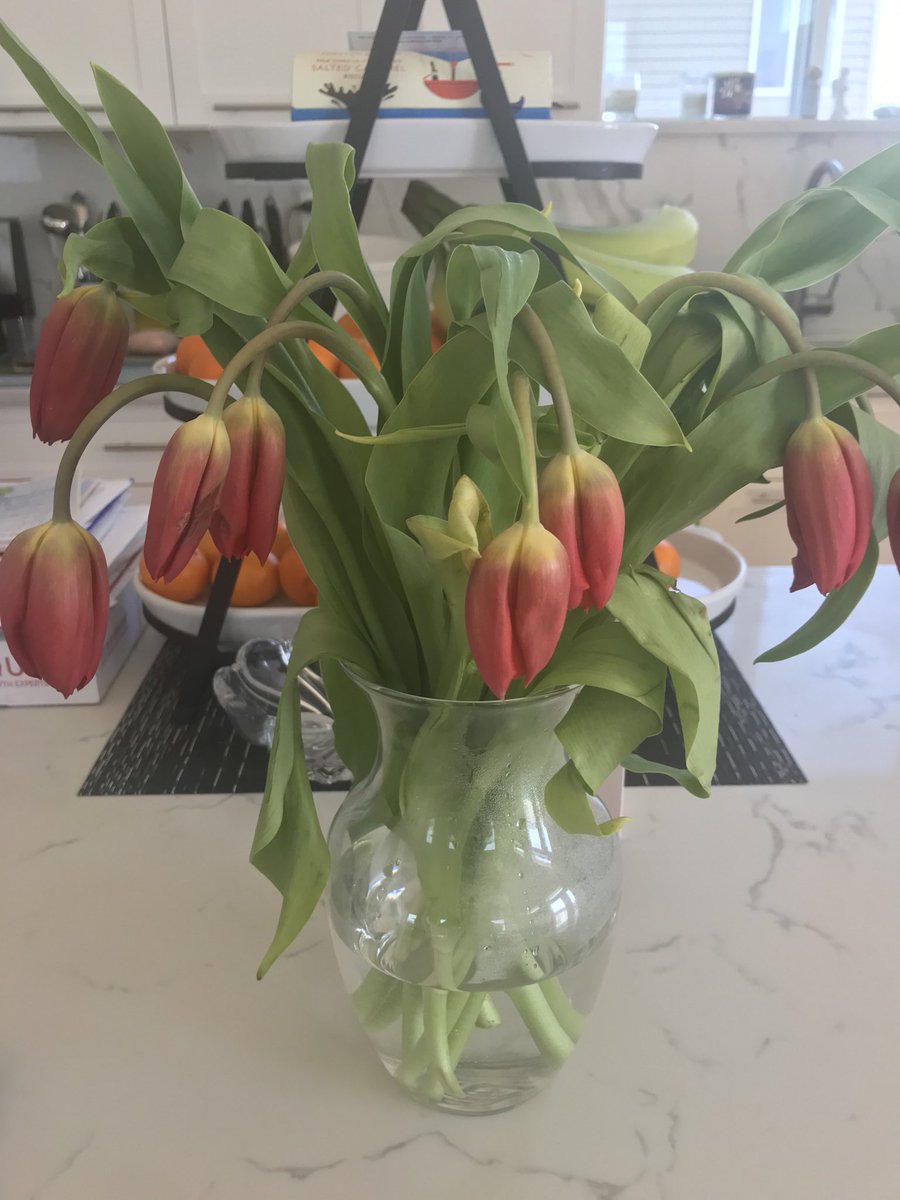 Periryan's tweet photo. ⁦@SkatingLesson⁩ ⁦we are kind of holding you responsible for this Mother’s Day flower fail. Based on Wars of the Tulips we thought it would be a good idea to go with Tulips this Mother’s Day... Now we have modern art lol #FlowerFail ⁦@JonathanBeyer81⁩ https://t.co/WM7fZ7OKse