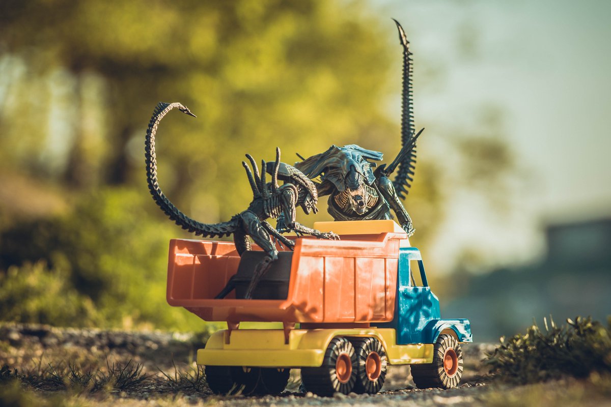 Balaggio981's tweet photo. A short #AVP story. 

Toys by @NECA_TOYS, photos by me. 

#Predator #Alien https://t.co/K2JnruzGvr
