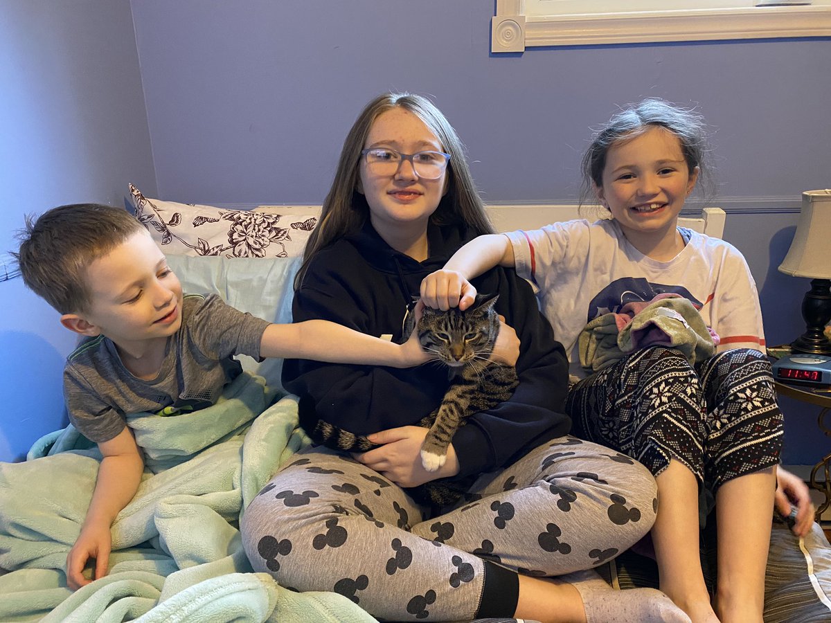 Celebrating #CHEspirit2020 with #pyjamaday in Branch.  Meet periwinkle the cat😺who stowed away to Branch with us @MmeCole_CHE @HollowayStride @Mme_Corbin @cowanelementary @elizabethjn6 @dblnash 💙🌈🤍🌈💙