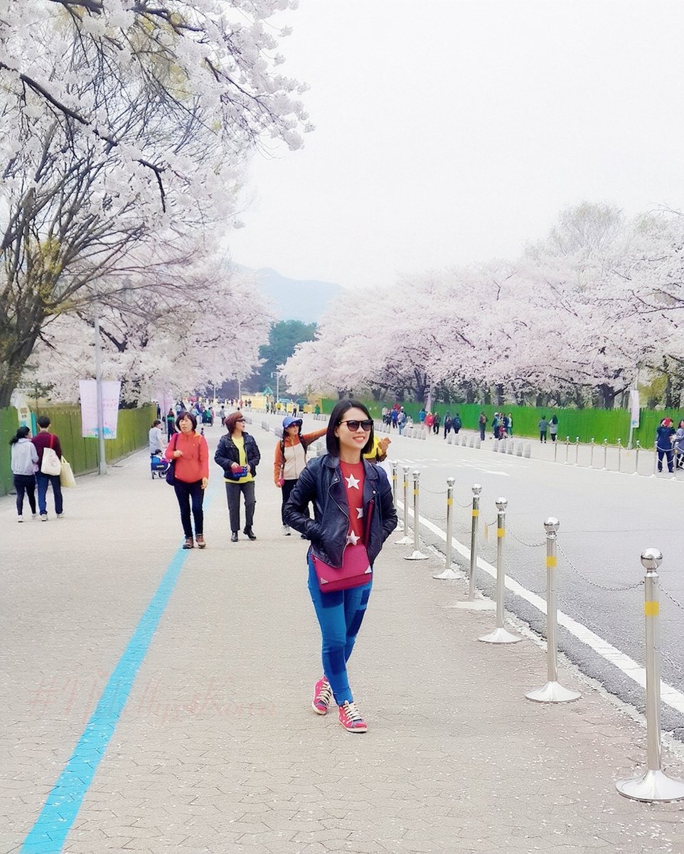 alliey_nich's tweet image. The most precious moment. First Trip, first time seen Cherry Blossom. So beautiful, wonderful, peaceful &amp;amp; calmness. That is what I feel. 🥰🥰😘
#superduperhappyandexcited
#seoulgrandpark #spring2016 #mysecondhome #iwillbehereagain
#visitkorea #koreatrip
#staysafe #weareallheroes