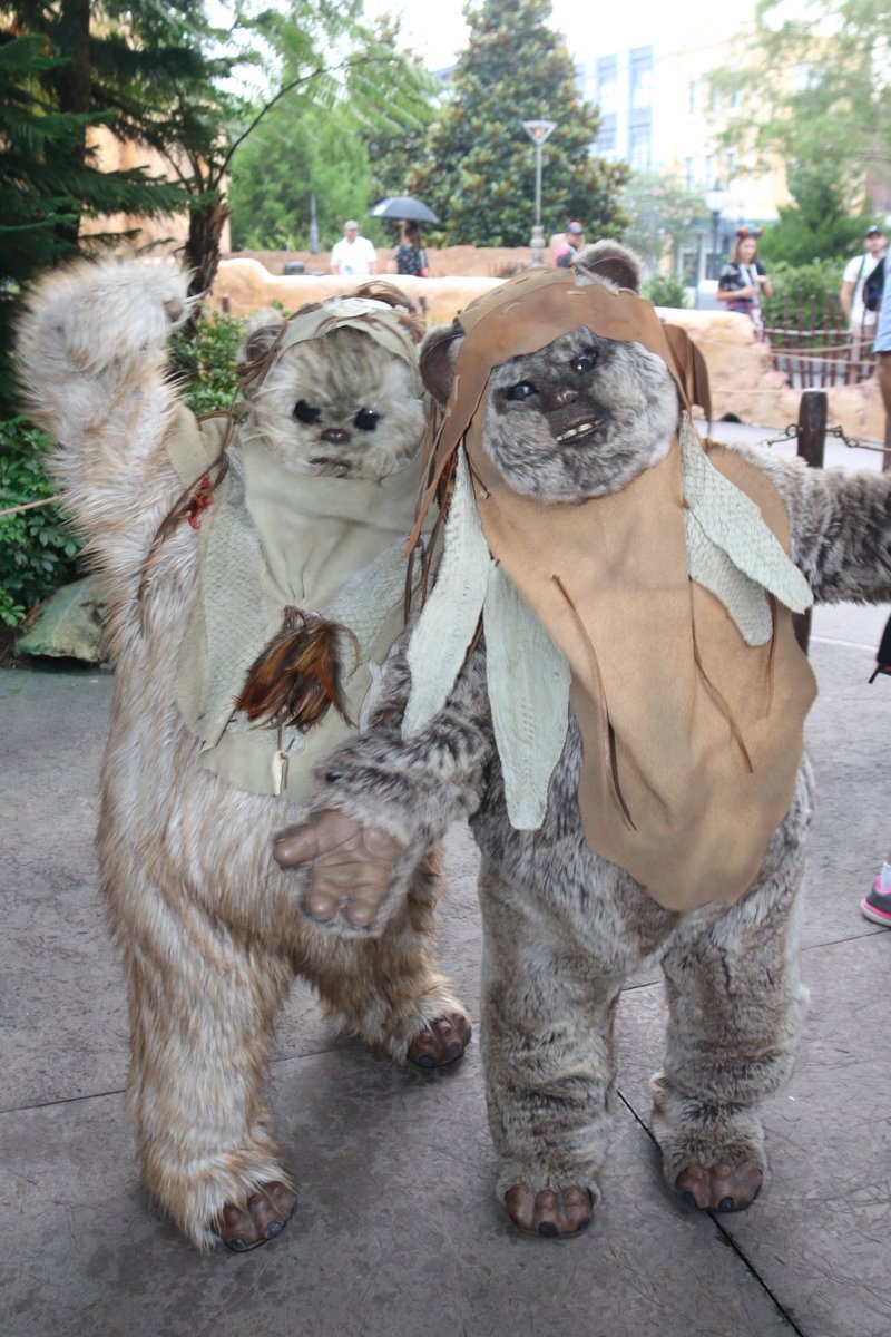 360DegreesofDis's tweet photo. Yub Nub! #Ewoks #DHS #StarWarsGalacticNights #StarWars #ReturnoftheJedi #Endor #StarTours #WDW #WaltDisneyWorld #DHS #DisneysHollywoodStudios #Teebo #Logray #RareCharacters #DisneySpace #DisneyOuterSpace #スターウォーズ https://t.co/032mSKjnyM