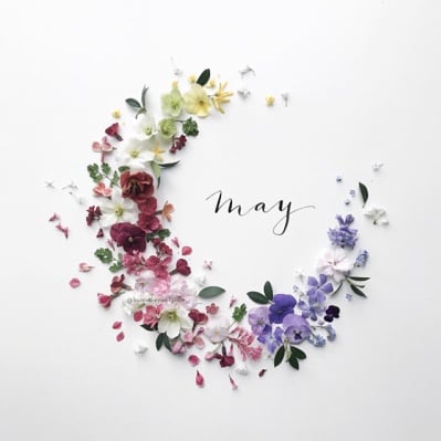 holly_amazon's tweet photo. Happy MayDay! #may #spring https://t.co/SsdTtc55dj