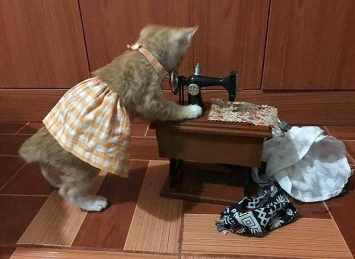 Astaghfirullah! Kasian sekali wanita ini, ia pontang-panting, sementara suaminya ongkang-ongkang kaki.